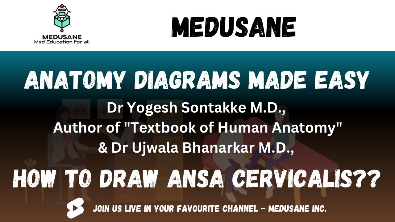 Ansa Cervicalis | Antomy Diagrams Made Easy | Dr Yogesh Sontakke | Medusane
