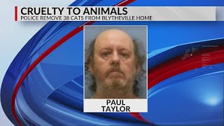 Man arrested after elderly mom found living with nearly 40 cats