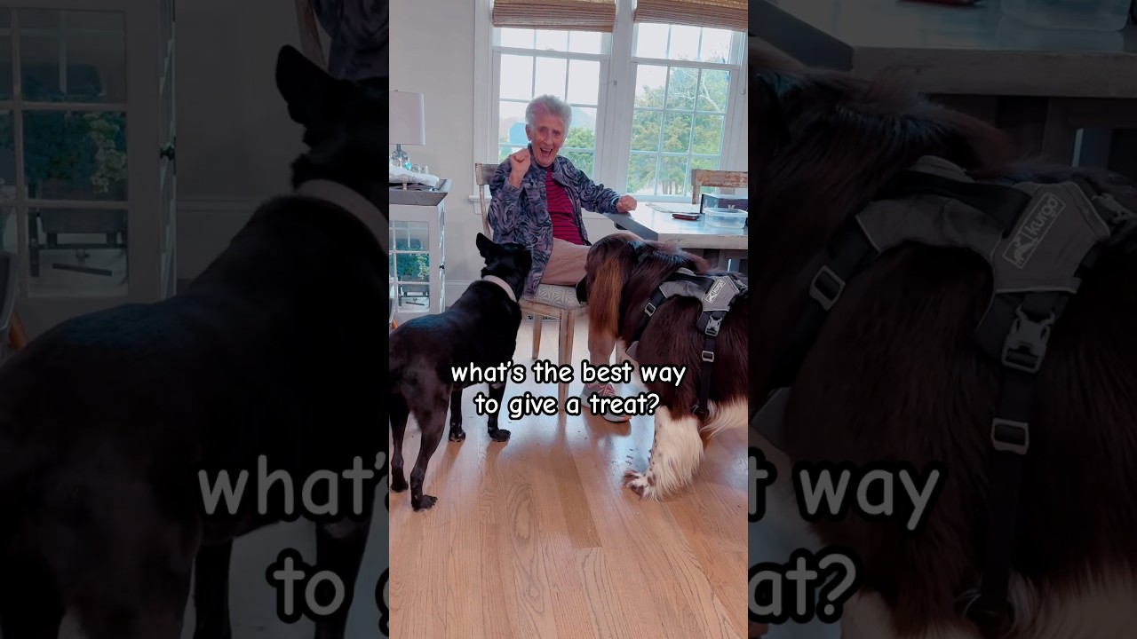Grandma decides the best way to give your dog a treat! 😂🥰🐾 