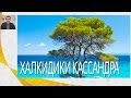 Халкидики, туры на п-ов Кассандра и в пос. Неа Каликратия | Вебинары по Греции | Mouzenidis Travel