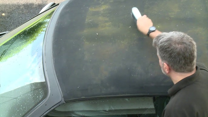 Convertible Top Cleaner and Protectant