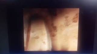 Ice Age 3 Video Game Story Cutscene Ps2