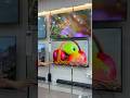 Cheapest led tv market in delhi | #ledtv #ledtvmarket #shorts #ytshorts