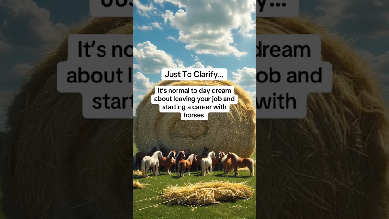 Get Certified With The Equine Connection - The Academy of Equine Assisted Learning