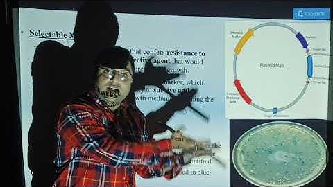 Cloning vector part 2 by prof rajan