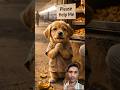 “Chor se Mehnati Banna 😭🐶 | Emotional Dog Story. #animalstory #dogshorts #doglife @AIvideoto-h7l