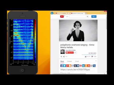 Spectral analysis of the incredible polyphonic overtone singing by Anna-Maria Hefele