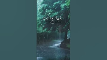 لا تهرب 🗣️ هاذ فقط القرآن الكريم 😟