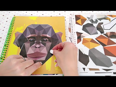 ASMR Sticker Peeling • Sticker by Number •  No Talking