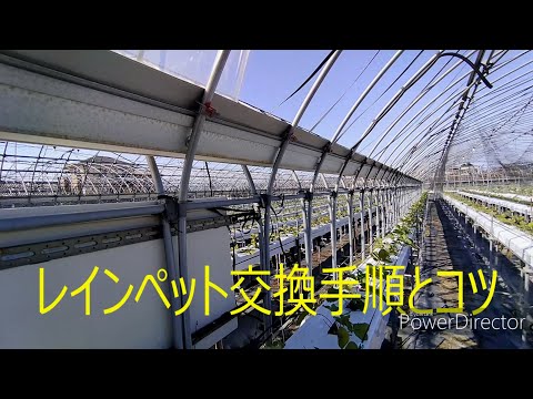 レインペット交換手順とコツ - YouTube