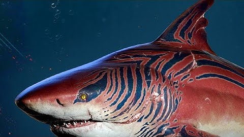 Maneater Ps4: Walkthrough Part 2