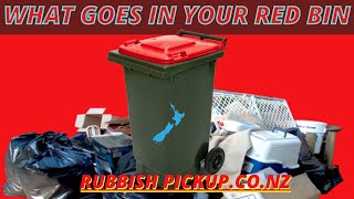 What Goes In Your Red Bin screenshot 1