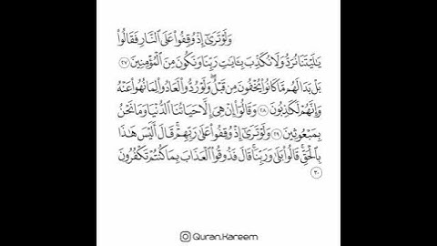القارئ سعد الغامدي - سورة الأنعام - من الآية 27 إلى الآية 30