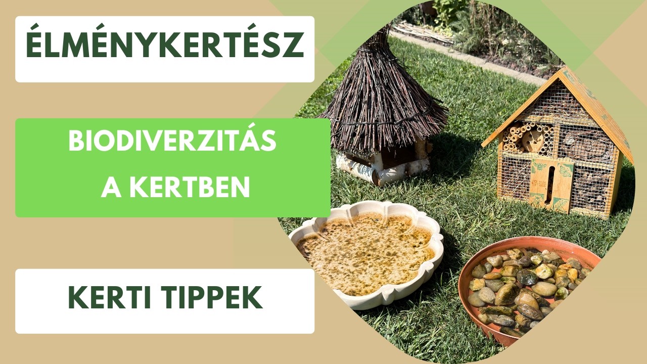 Miért olyan fontos a biodiverzitás a kertünkben?🏡