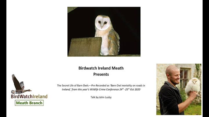 The Secret Life of Barn Owls - Talk by John Lusby (Birdwatch Ireland)