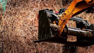 Cat® D Series Skid Steer Loaders, Multi Terrain Loaders and Compact Track Loaders at Work (no text)
