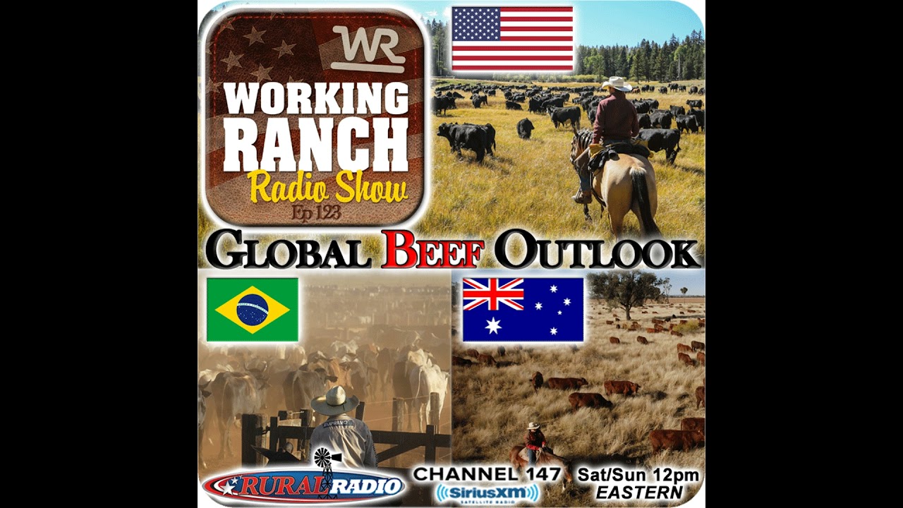 Ep 123: Why Global Beef Supply Outlook Is Supportive To Our Future Domestic Markets.