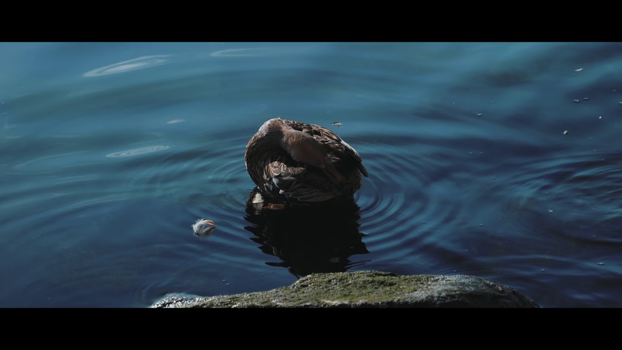 Life is Good | GH5 | 180 FPS | Slow Motion