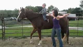 Sheiks Syn "Brooke" - babysitting - such a good girl!!! - Valley View Ranch