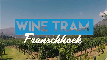 Getting Drunk on Wine Tram in Franschhoek South Africa