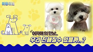 V log E 강아지와 I 강아지 친해지기 어흥이 어동이 친해지기 프로젝트! 귀여운거랑 귀여운거 합치면 왕귀엽기❤️