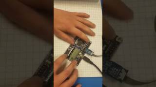 CECS 412 Final Project Group 8