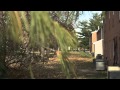 Canon EF 50mm f1 8 bokeh test