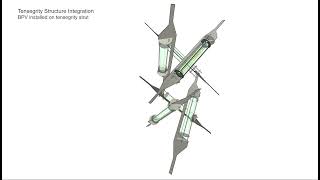 BPV Cells Assemble to Tensegrity Struts