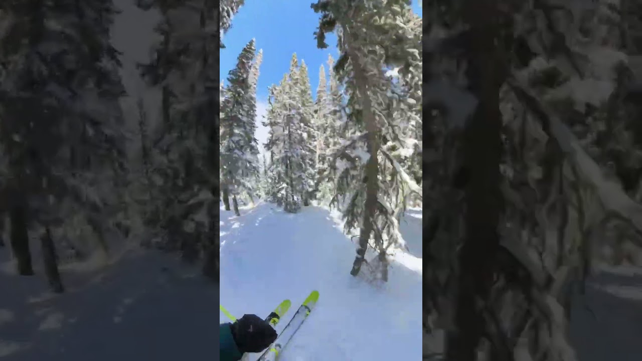 Springtime tree skiing at Eldora, CO ⛷️ 4/5/23