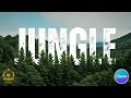 Canva Jungle Text Tutorial Create Professional Nature Design