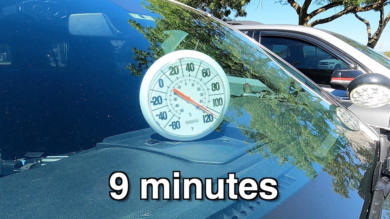 Heat Safety- Hot Vehicles and Pets