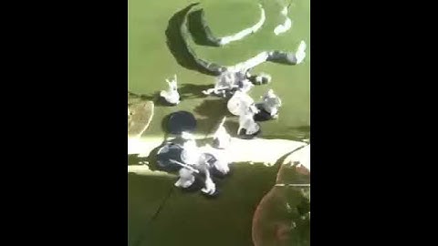 Warmachine 100 point 2 warcaster battle End of Game