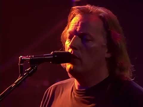 Pink Floyd - Sorrow - Live in Venice (Official Video)