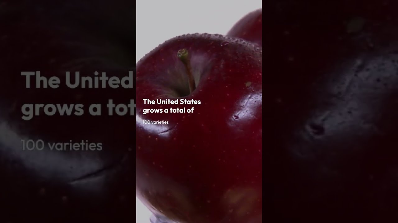 varieties of apples || سیب کی اقسام