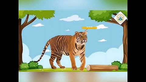 "Khám phá một số con vật sống trong rừng"  của giáo viên: Vũ Thị Diệp. Trường mầm non Hải Tân- TPHD