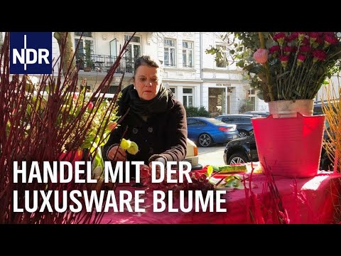 Video: Blume einer Stunde Pflanze - Informationen über Hibiskus-Blume einer Stunde