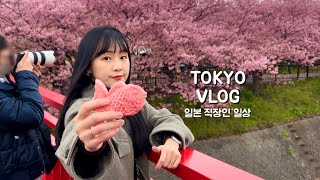 일본 도쿄 브이로그 | 주말에 벚꽃놀이하고 한국 갔다오는 일상. 이직 후 근황. 퇴근 후 데이트 (도쿄 근교 여행, 시즈오카, 카와즈사쿠라, 와사비아이스크림, 도쿄 맛집)