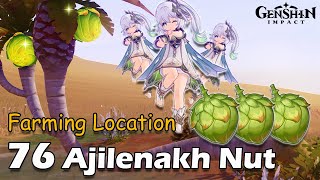 76 Ajilenakh Nut Farming Route Locations  Lokasi Farm  With Nahida Camera Genshin Impact