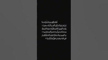 الشيخ محمد ايوب سورة الأحزاب