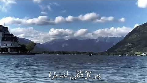 سورة فاطر | القارئ عاصم بلال بني خالد
