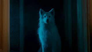 Thursday Night – Trailer – SFF 18