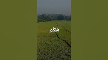 تلاوة هادئة للمنشاوي 🤍🥀 #قرآن #اكسبلور #المصحف #راحة_نفسية #المنشاوي #قران