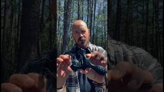 The New Scout Lt2 From Simpleshot Is Here