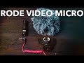 RODE VIDEOMICRO: Improving audio quality with external mics!