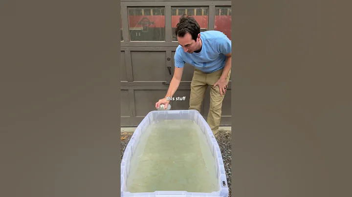 How to DIY a Marble Christmas Tree Skirt