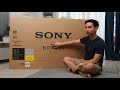 NO SONY NO PARTY! AKHIRNYA BISA BELI TV IMPIAN!!