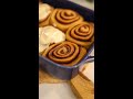Gingerbread Cinnamon Rolls