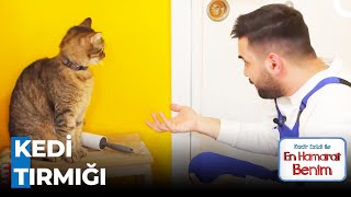 Kadire Büyük Saldırı - En Hamarat Benim 164. Bölüm