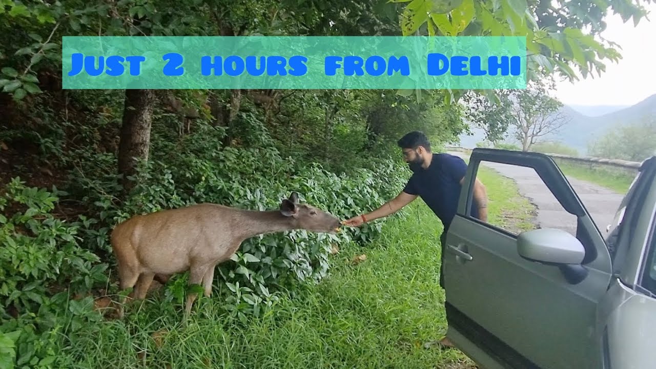 Single day Trip from Delhi | Alwar | 2 hr | P1Full Itinerary| 