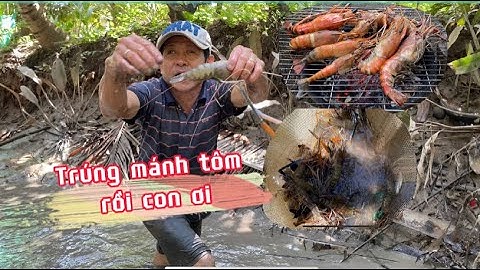 Tát mương bắt tôm càng xanh trúng đậm | Đặc sản tôm càng xanh miền Tây #doithuongvlog